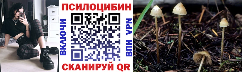 Галлюциногенные грибы Psilocybine cubensis  Купить  Асбест 